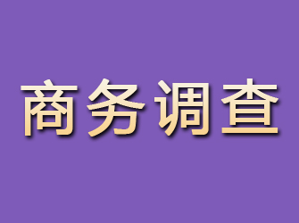 静海商务调查